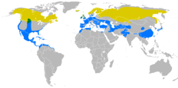 Az elterjedési (sárga) és a telelési terület (kék)