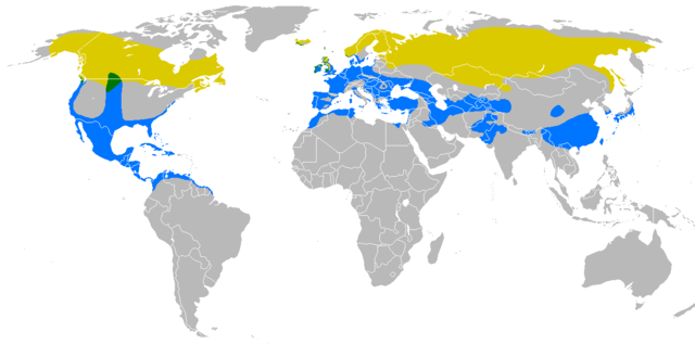 Yellow: summer only. Green: all year. Blue: winter only.