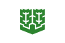 Flag of Matsuyama, Ehime.svg