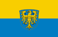 Silesia NEED SVG