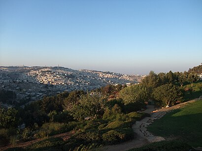 איך מגיעים באמצעות תחבורה ציבורית  להר המשחית? - מידע על המקום