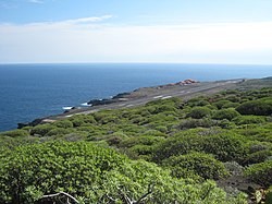 Flughafen el hierro.jpg