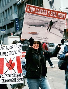 Protestující žena s transparentem vyzývajícím k zastavení zabíjení ploutvonožců v Kanadě