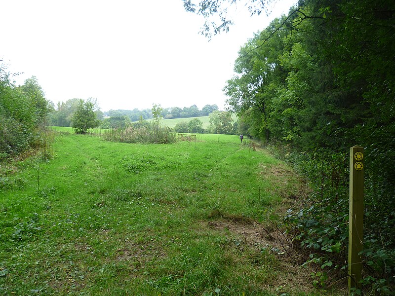 File:Footpath near Jones's Wood - geograph.org.uk - 4176823.jpg