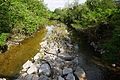 Looking east along Four Mile Run stream from the South Nelson Street footbridge near 2800 South Nelson Street, Arlington, Virginia.