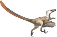 Fred Wierum Velociraptor.png 