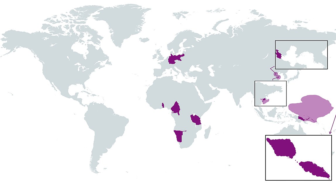 The German colonial empire and its protectorates in 1914.