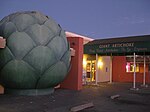 Giant Artichoke