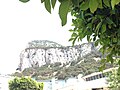 Gibraltar under leaves.jpg