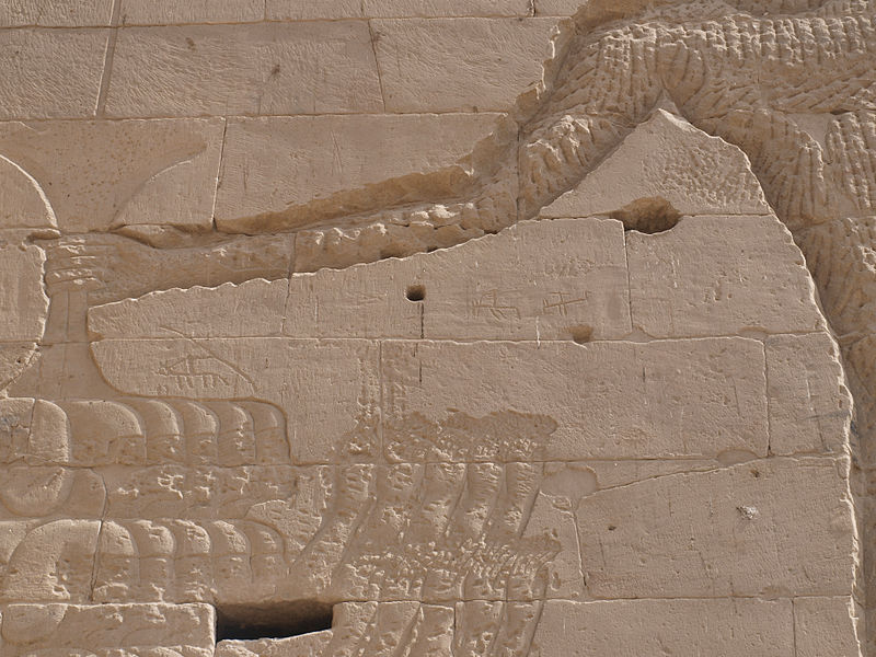File:Graffiti at the Temple of Philae (XXX).jpg - Wikipedia