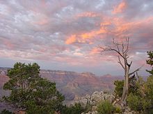 Altra vista del Grand Canyon