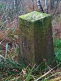 Saxon-Prussian boundary stone: Pilar No. 104 and a runner stone