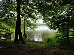 Großer und Kleiner Petznicksee