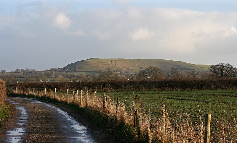 File:Hambledon Hill from North Dorset Trailway 20080107.jpg