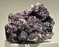 English: Harvard Museum of Natural History. Fluorite. (Cumberland) Cumbria, England.