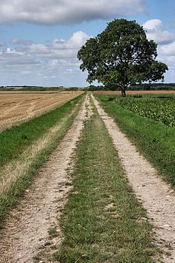 Haythill Lane, near Feltwell - geograph.org.uk - 1439397