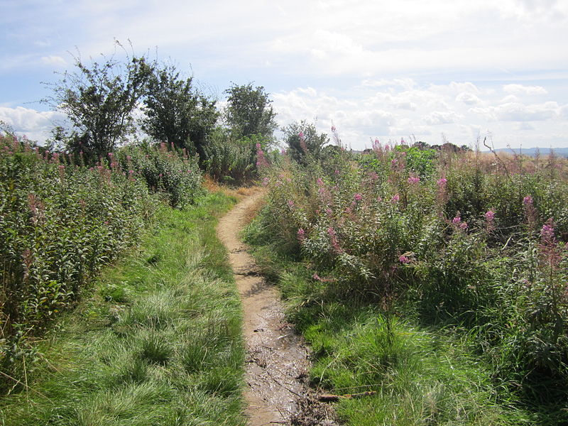 File:Helsby Hill (61).JPG