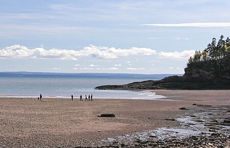 A sandy beach at dusk the sand on the bottom half, and the water and the horizon on the top half. There's a group of people walking across the shoreline, and on the right side of the picture there's a rock formation jutting upwards from the sand with evergreen trees on it