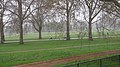 Hyde Park - panoramio - Anil Kaushik (1).jpg