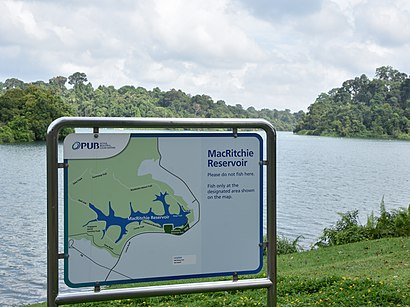 How to get to MacRitchie Reservoir with public transport- About the place