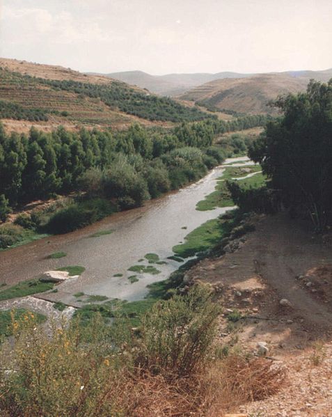 Zarqa River