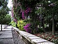 Jardins Tropicais I, Parque das Nações