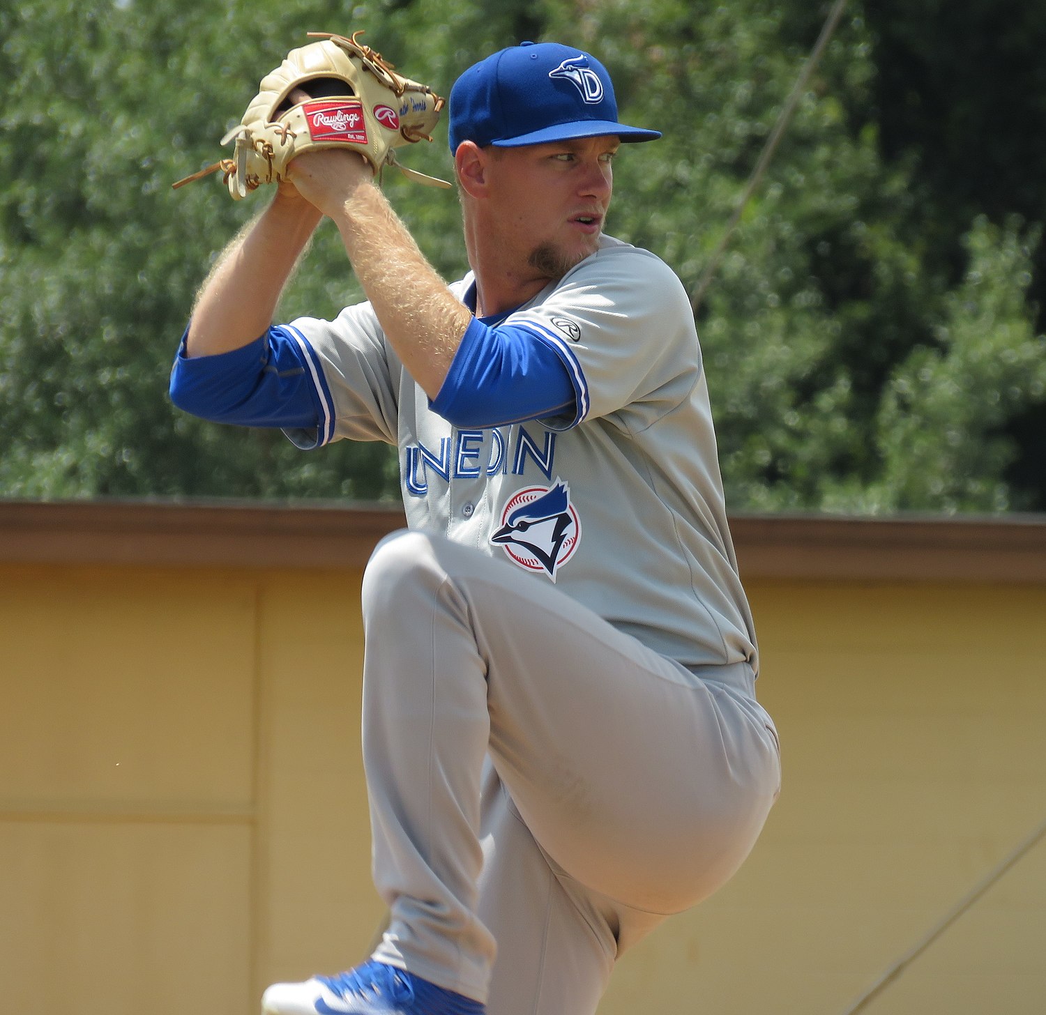 Dunedin Blue Jays - Wikipedia