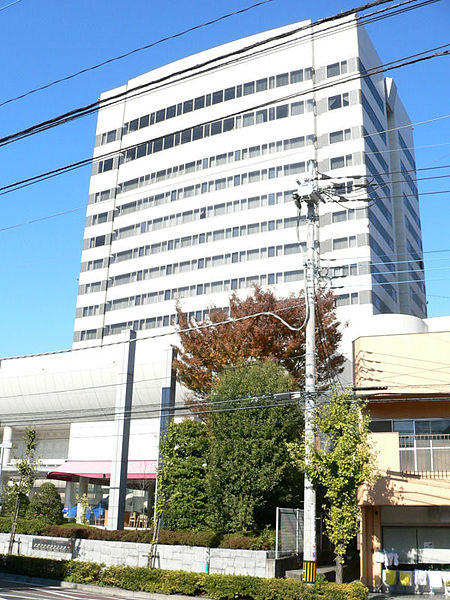 File:KOFU-FUJIYA-Hotel.JPG