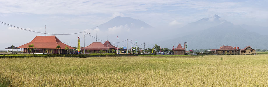 ALT – Panorama of the site itself, from the approaching road. Mounts Merbabu and Telomoyo are visible in the background.