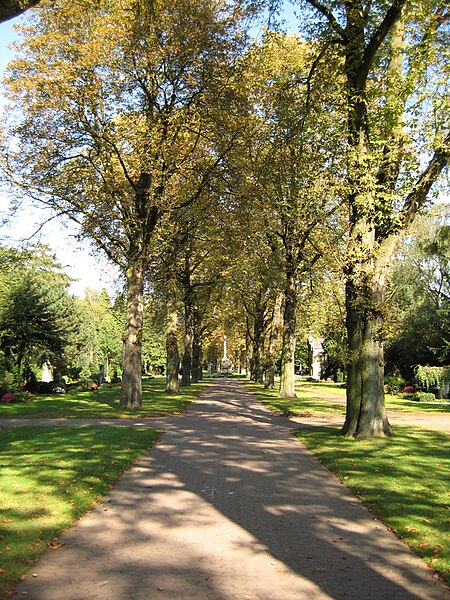 File:Kastanienallee1.jpg