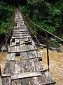 footbridge over tributary of the Kotmale river