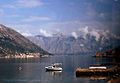 Kotor coast