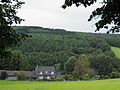 Kranenholl am Hang des Goldenberg