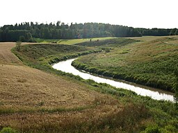 Nedströmmen av Kuusjoki å i Vaskio