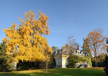 Lörrach: Villa Aichele and surrounding park