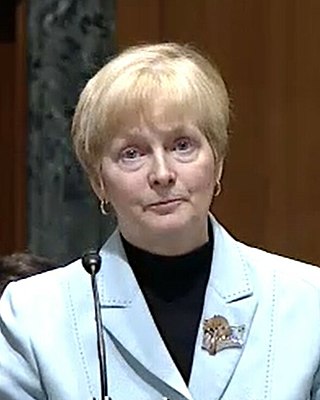 <span class="mw-page-title-main">L. Paige Marvel</span> American judge (born 1949)