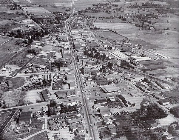 Aerial View of Langley City in 1959