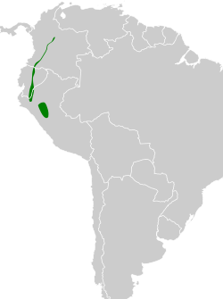 Distribución geográfica del saltarín lomiazul.