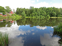 Lillsjön sedd från den västra stranden.