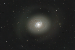 M94 spiral galaxy in Canes Venatici