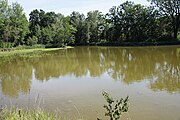 Čeština: Rybník Malý Smutný (2,3 ha) v k.ú. Buková u Nových Hradů, obec Olešnice, okres České Budějovice. English: Malý Smutný pond in Olešnice, České Budějovice District, South Bohemian Region, Czechia.