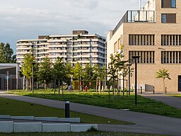 Max-Strohmeyer-Str. 9 & 13, Reichenaustr. Konstanz