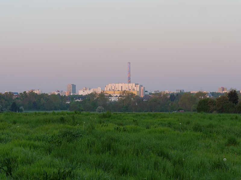 File:Meadow near Frankfurter Berg 19.jpg