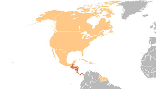 Futbol Arreu Del Món