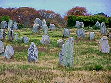 Neolithic Carnac Stones, France Menec alignment.JPG