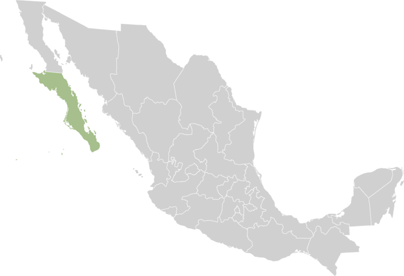 File:Mexico states baja california sur.png