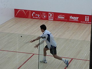 <span class="mw-page-title-main">Miguel Ángel Rodríguez (squash player)</span> Colombian squash player