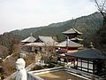 Minamihokke-ji / 南法華寺 (壺阪寺)