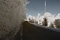 Français : Rue de l'Église, Montagny-lès-Seurre (Côte d'Or, Bourgogne, France) photographié avec un filtre infrarouge 720 nm. Català: Carrer de l'Església, Montagny-lès-Seurre (Costa d'Or, Borgonya, França) fotografiat amb un filtre infraroig 720 nm. Español: Calle de la Iglesia, Montagny-lès-Seurre (Côte d'Or, Borgoña, Francia) fotografiado con un filtro infrarrojo 720 nm.