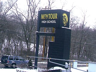 <span class="mw-page-title-main">Montour High School</span> Public school in Robinson, Pennsylvania, United States